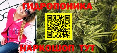 индика Кумертау