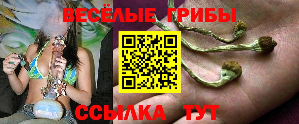 Псилоцибиновые грибы MAGIC MUSHROOMS Химки