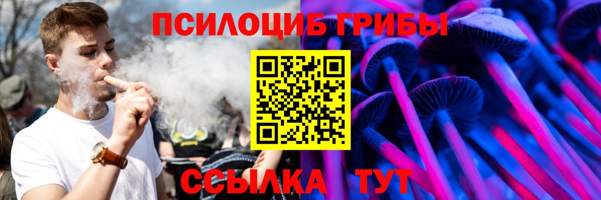 Галлюциногенные грибы Cubensis  Псилоцибиновые грибы прущие грибы  Химки  Вход с VPN 